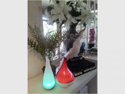 Bedlam Pty Ltd