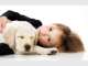 Family Friendly Carpet Cleaning