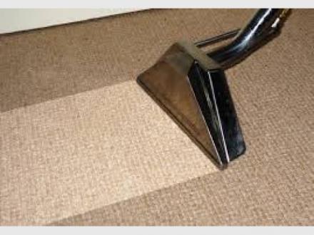 Family Friendly Carpet Cleaning