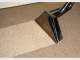 Family Friendly Carpet Cleaning