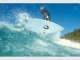 Noosa Surf Scenes