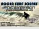 Noosa Surf Scenes