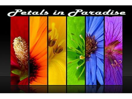Petals in Paradise Flowers & Gifts