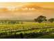 Sublime Wine - Wineries Australia