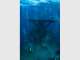 Sunreef Scuba Diving Services
