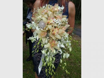 Sunshine Coast Florist