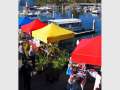 Noosa Marina Markets 
