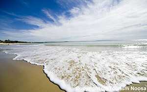 Noosa Beach shoreline