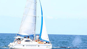 Sunshine Coast Sailing Cruises
